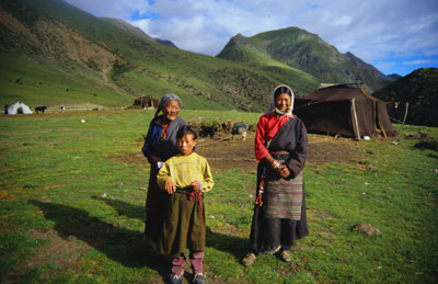 Nomads, Yaks & Grasslands